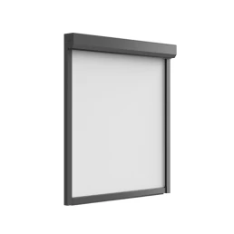 screen